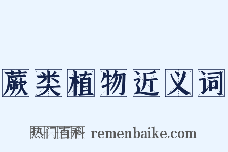 蕨类植物近义词是什么意思的图片